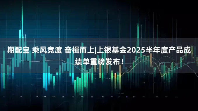 期配宝 乘风竞渡 奋楫而上|上银基金2025半年度产品成绩单重磅发布！