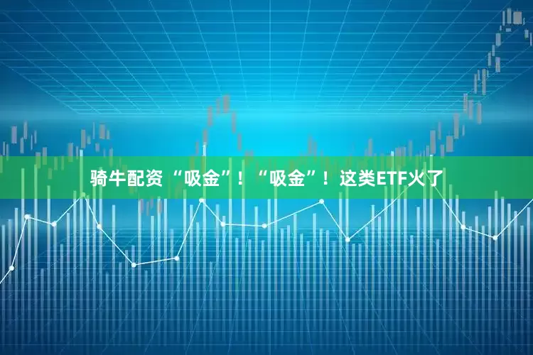 骑牛配资 “吸金”！“吸金”！这类ETF火了