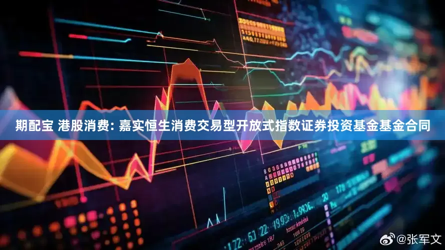 期配宝 港股消费: 嘉实恒生消费交易型开放式指数证券投资基金基金合同