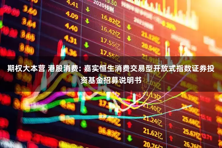 期权大本营 港股消费: 嘉实恒生消费交易型开放式指数证券投资基金招募说明书