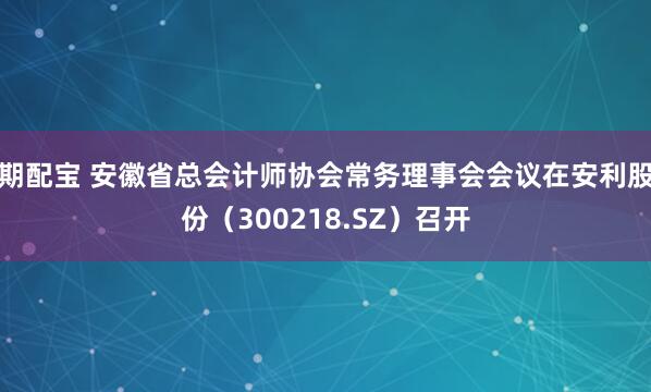 期配宝 安徽省总会计师协会常务理事会会议在安利股份（300218.SZ）召开